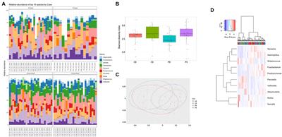 Enrichment of antibiotic resistance genes within bacteriophage populations in saliva samples from individuals undergoing oral antibiotic treatments